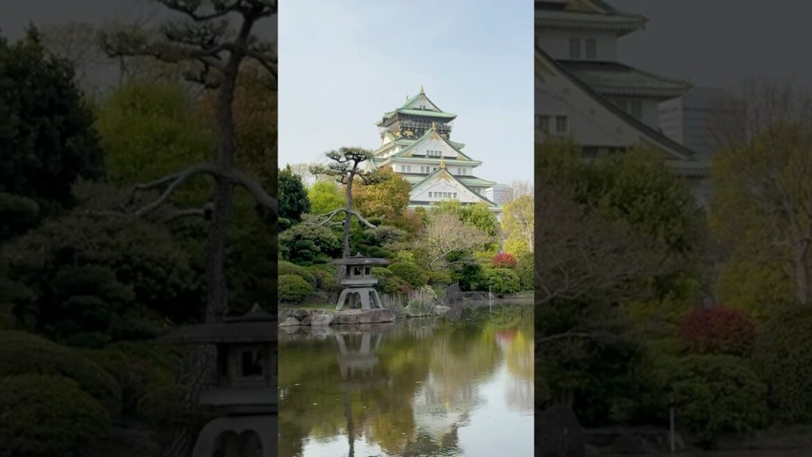 Osaka Castle 大阪城 #japan #osaka #castle #travel #2025 #april #asia #spring