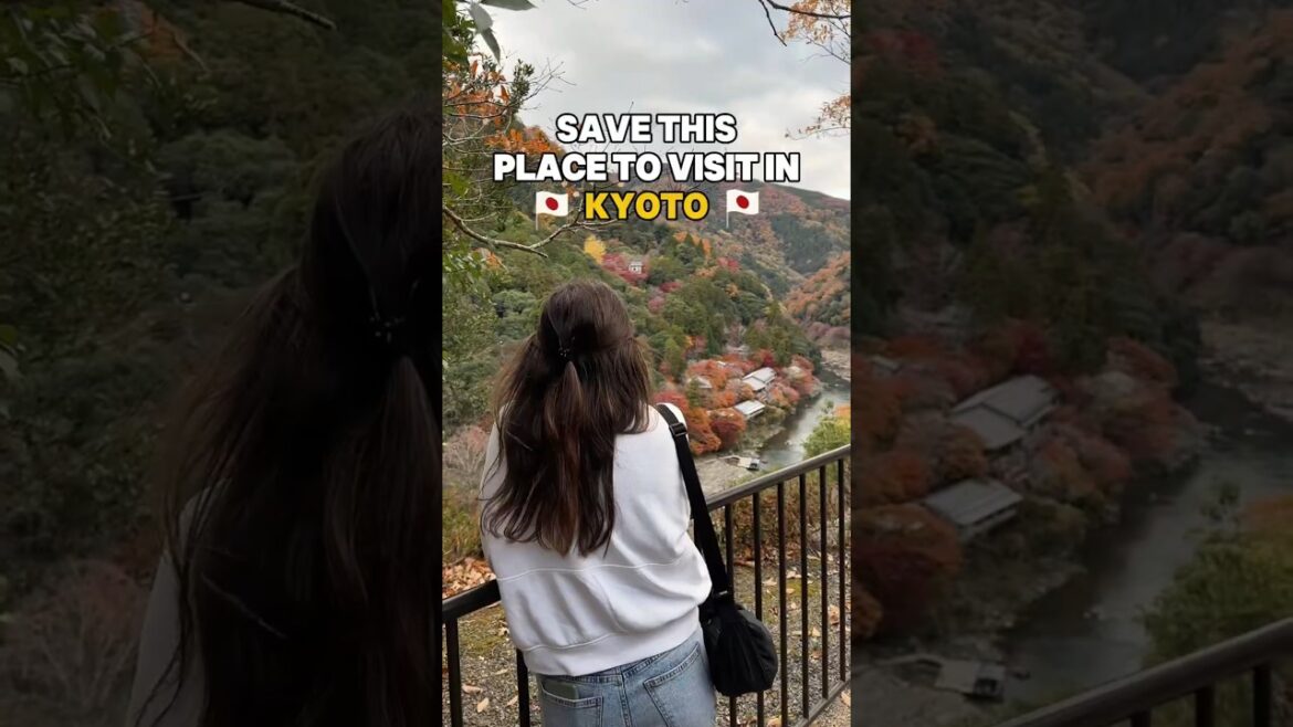 A MUST-VISIT place in Kyoto! 🤩🇯🇵 Japan Travel Vlogs #kyoto #japan #japantravel #travelvlog #travel