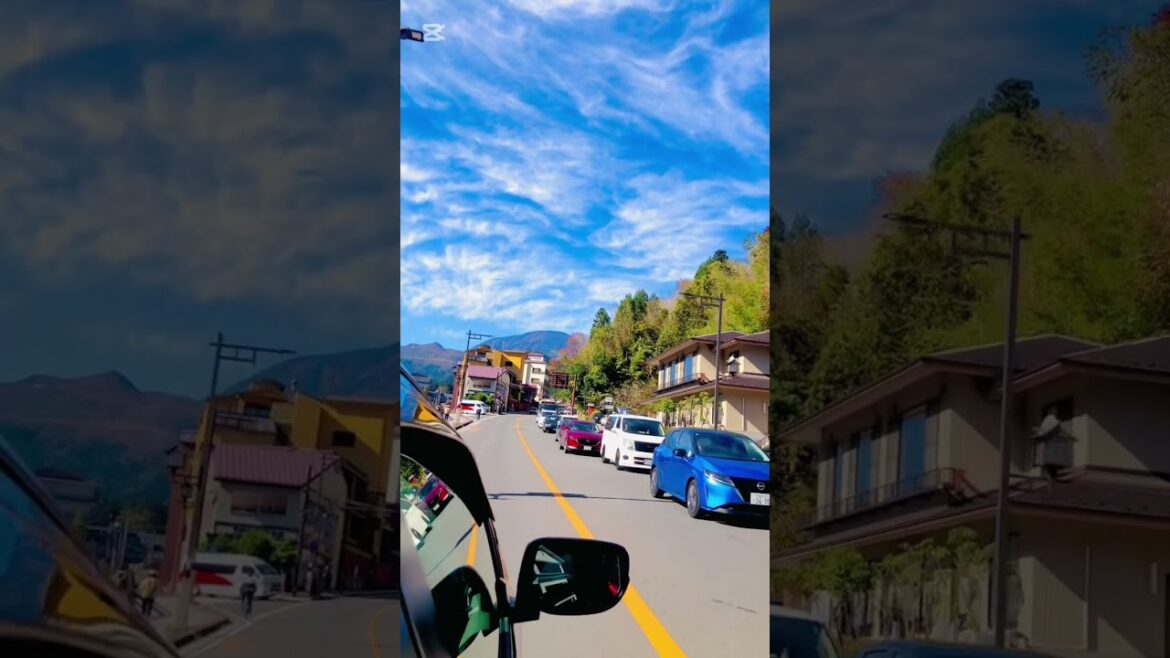 Must visit Nikko #japan #nikko #beautifuldestinations #beautifulview #trendingshorts #travel