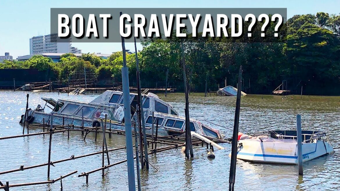 Visiting A Boat Graveyard In The Tokyo Area | JAPAN LIVE STREAMS 2025