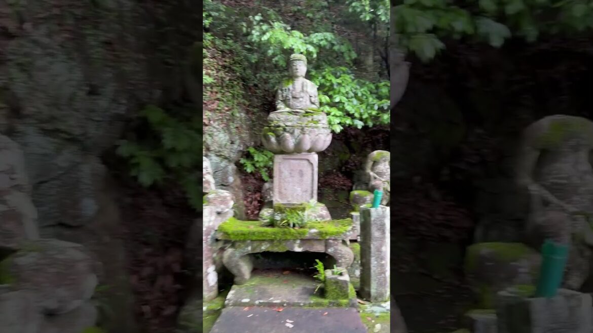 🌿 A Quiet Place of Power: Miyamoto Musashi’s Cave and Unganzenji Temple