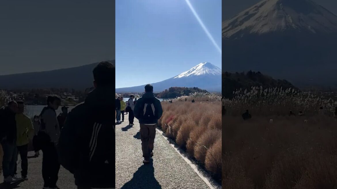 Mount Fuji - Nhớ những khoảng thời gian vui vẻ ở đây