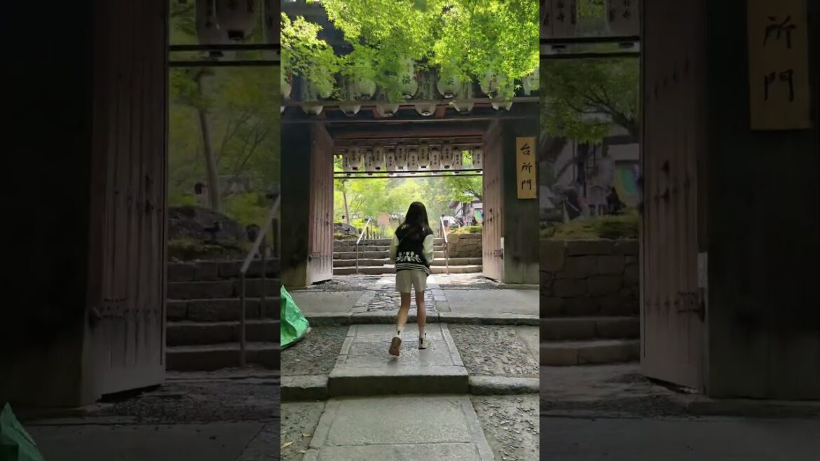 #kyoto #japan #travel #zen #walking #peace
