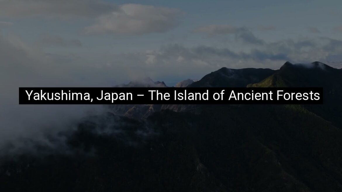 Yakushima, Japan – The Island of Ancient Forests Yakushima, Japan – The Island of Ancient Forests