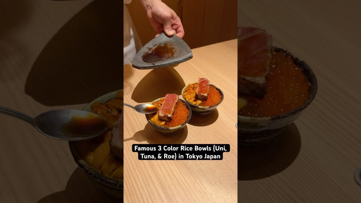Famous 3 Color Rice Bowls (Uni, Tuna, & Roe) at Yakiuo Ishikawa in Tokyo Japan | #seafooddinner