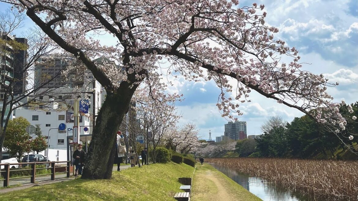 Kyushu - Japan trip 202503 (part 1)