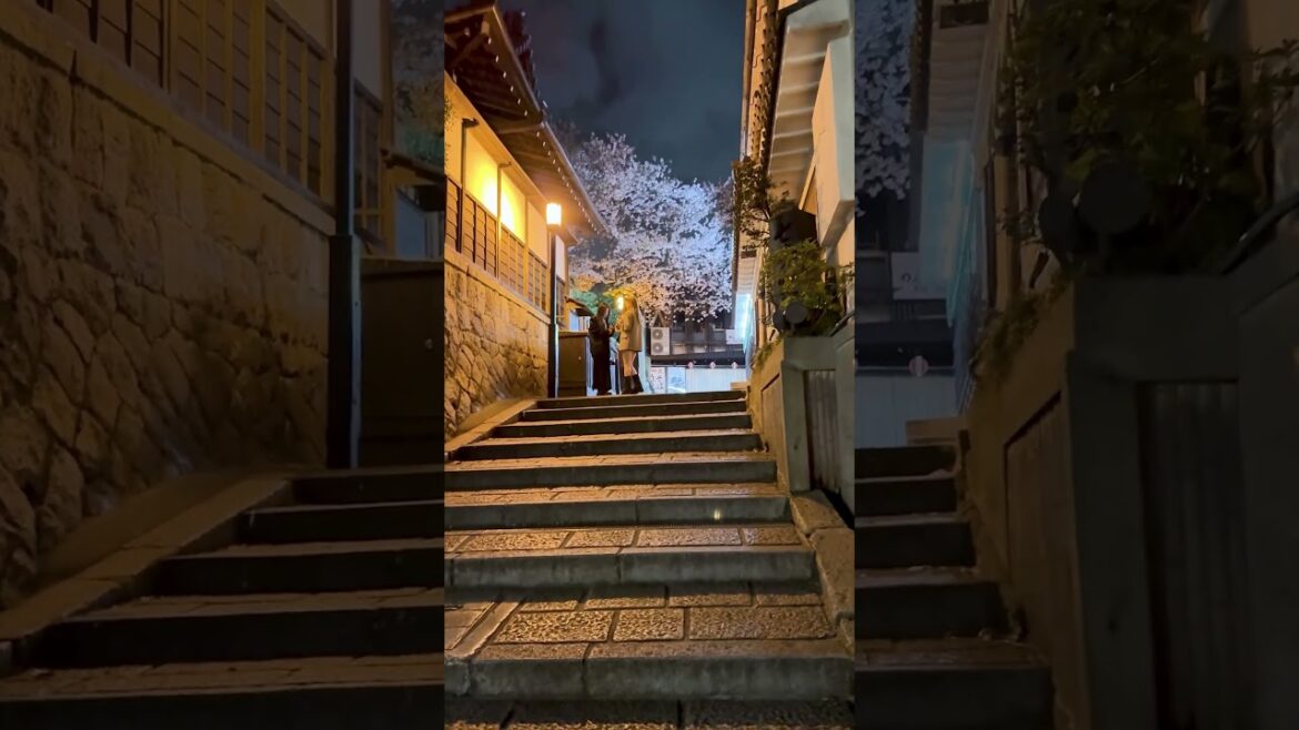 What’s Behind KYOTO’s 1000-Year Timeless Charm? #kyototravel #japantravel #shorts What's Behind KYOTO's 1000-Year Timeless Charm? #kyototravel #japantravel #shorts