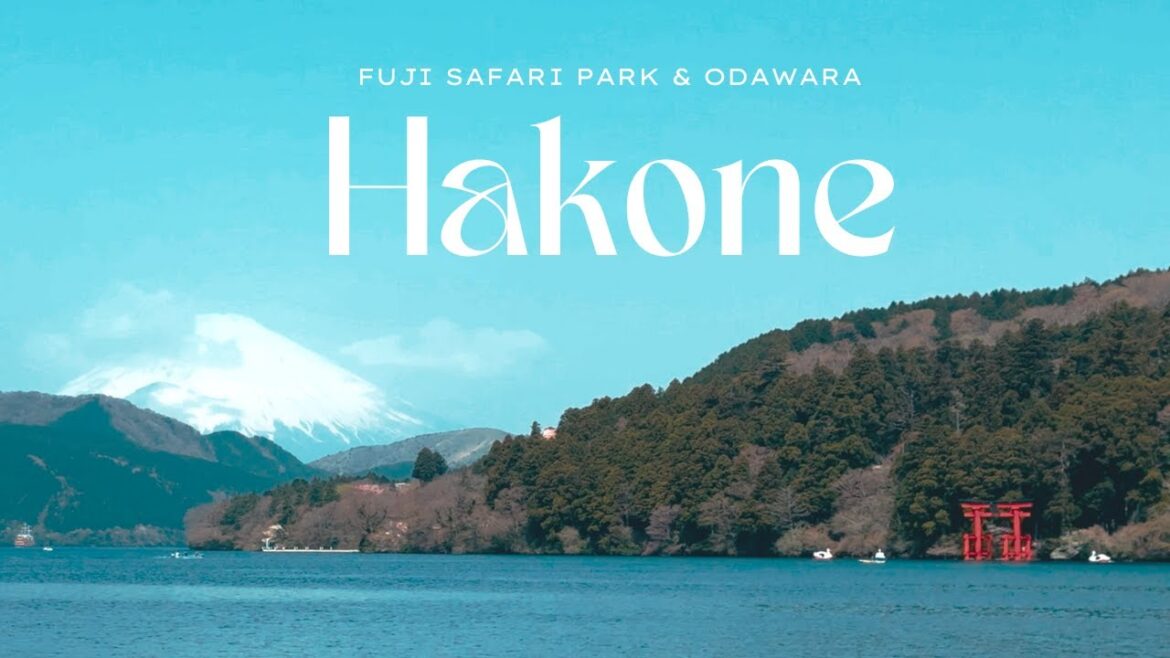 Hakone, Odawara & Fuji Safari Park | Scenic Views, Onsen Ryokan, Wildlife & Castle Hakone, Odawara & Fuji Safari Park | Scenic Views, Onsen Ryokan, Wildlife & Castle
