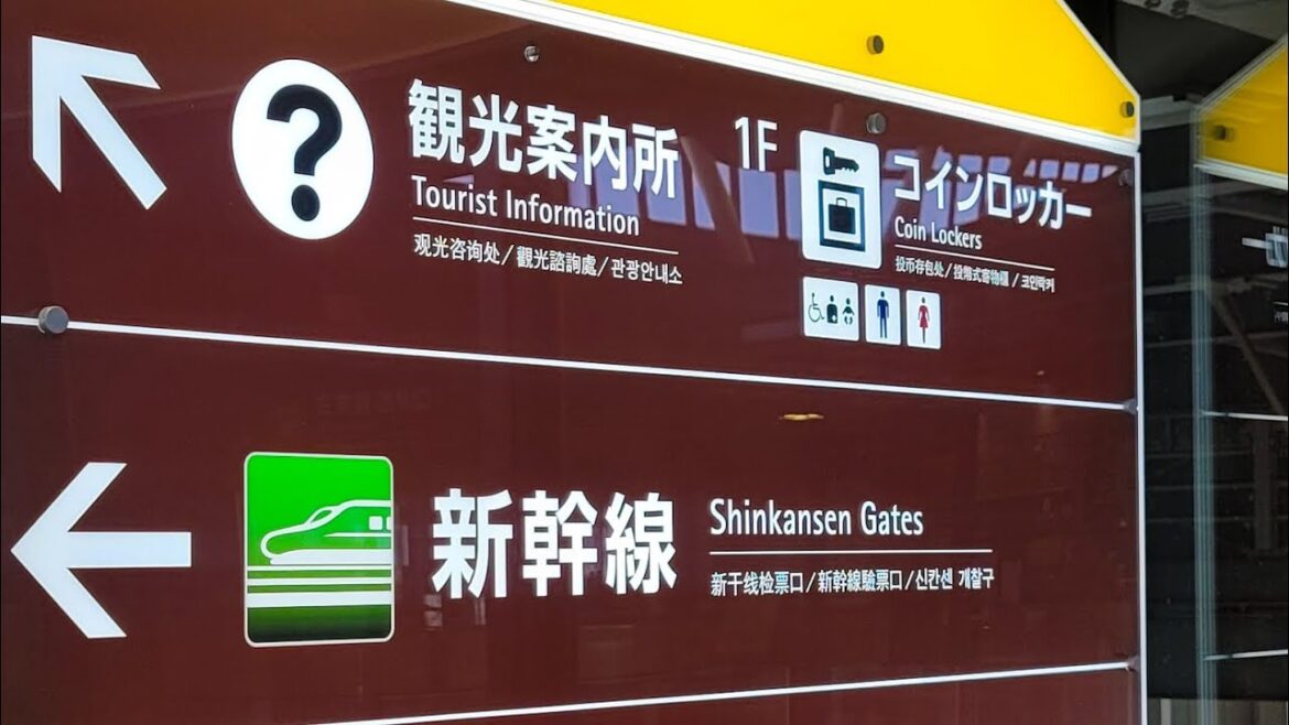 High-speed train 🚄 from Hakodate to Tokyo 🇯🇵 May 2025