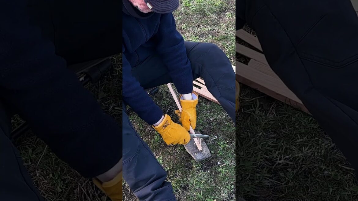 Solo Camp Perfection: Mt. Fuji, Sakuras & Pure Bliss at Lake Tanuki! #sakura #solocamp #MtFuji