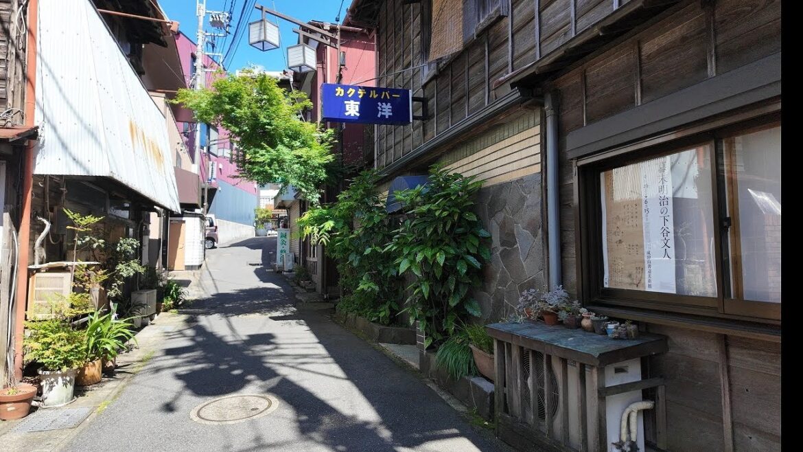 成田を散歩【4K千葉街歩き】Japan Chiba 4K walking tour/Narita,Chiba prefecture 成田を散歩【4K千葉街歩き】Japan Chiba 4K walking tour/Narita,Chiba prefecture