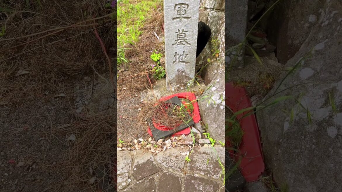 Historic Residential Area, Kojo, Minamata, Kumamoto, Japan #japanesecountryside #japaneselandscape
