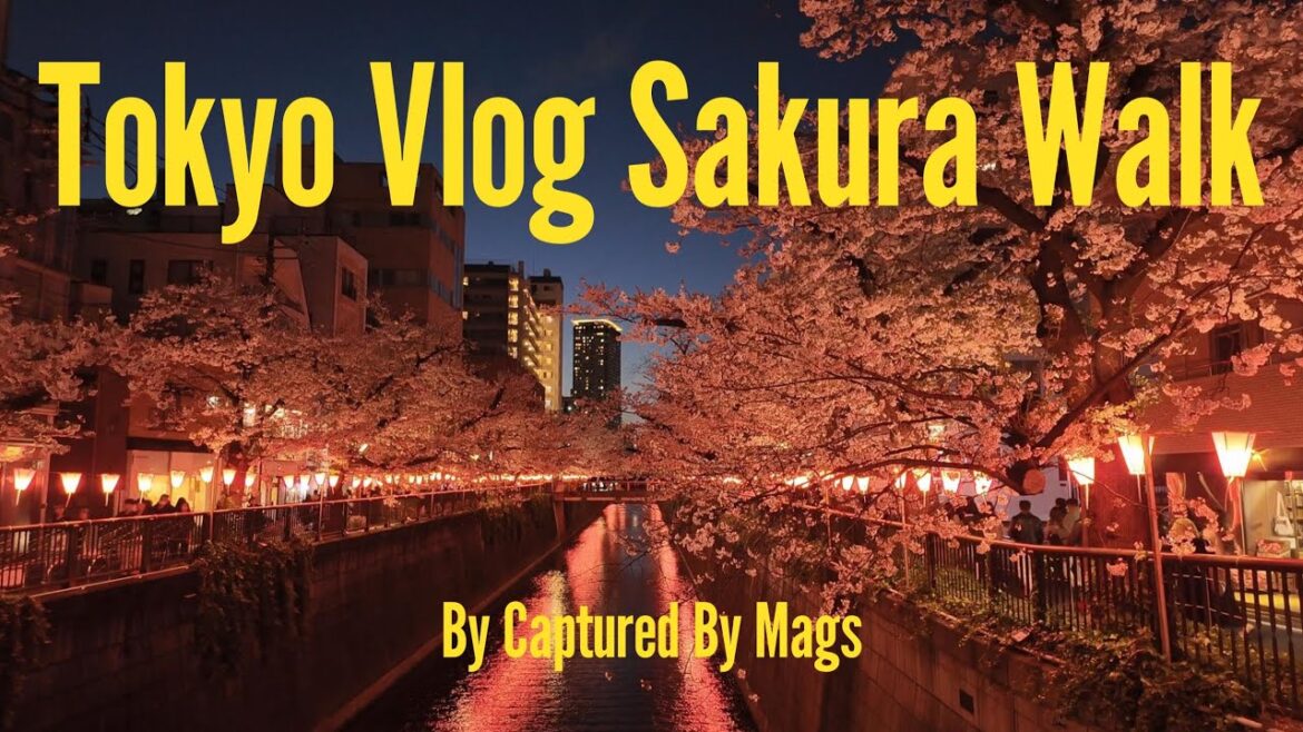 Tokyo Spring Vibes 🌸 Ramen, Cherry Blossoms & Nakameguro at Night 🍜🍣📸