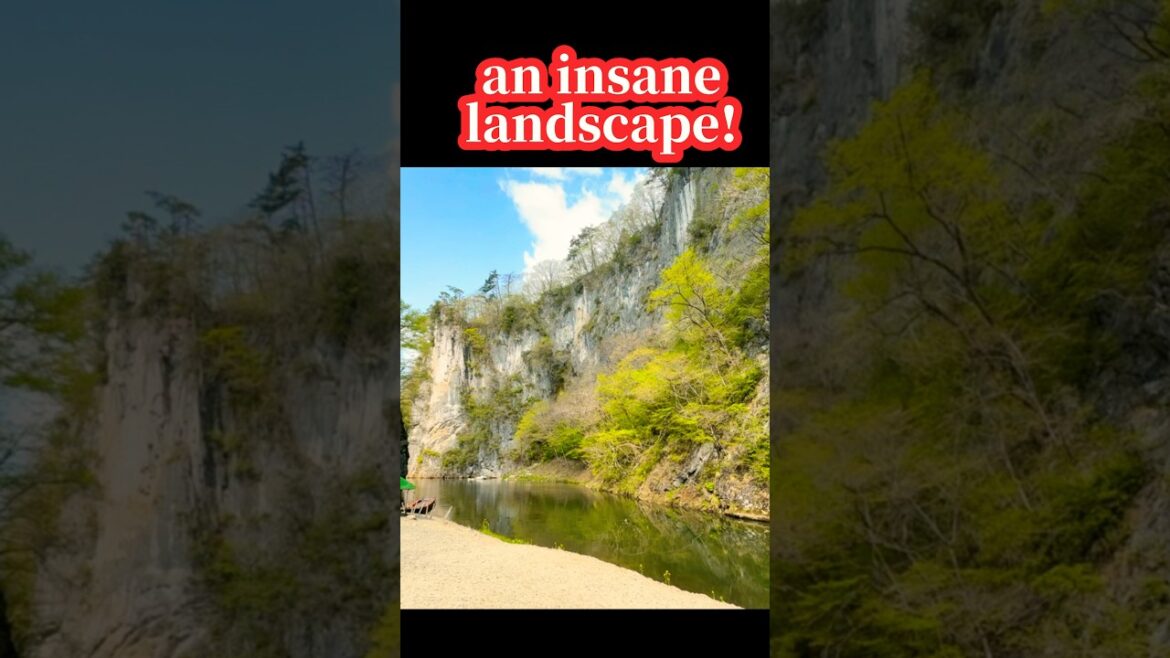 Insane landscape! #travel #gorge #japantravel
