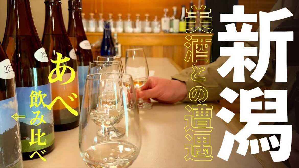 [酒ログ] 新潟県　コッペパン・新潟の日本酒・角打ち・焼き鳥　マイカー日本旅01