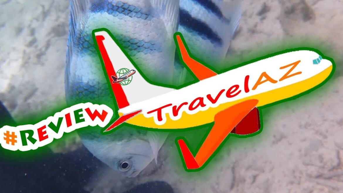 #ReviewActivity #Review Marine Walk Experience in Onna Village