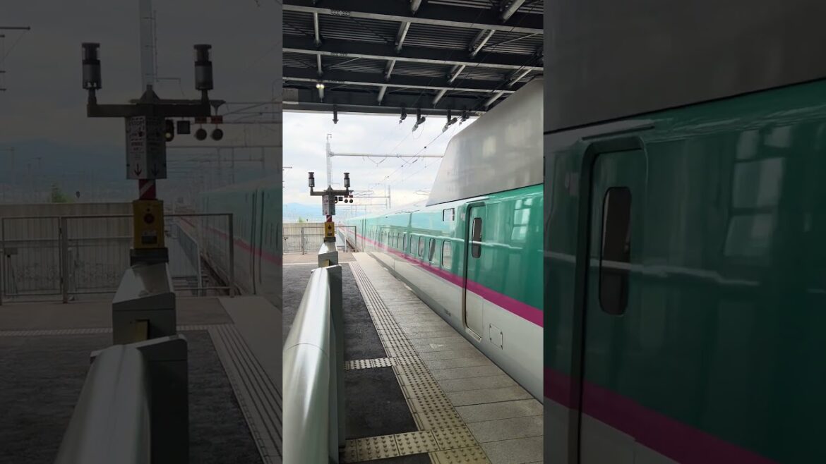A look at the Shinkansen we are taking from Hokkaido to Tokyo