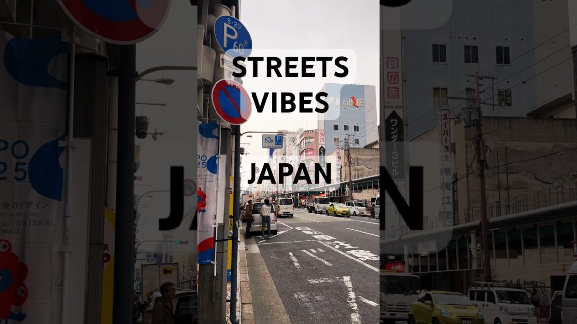 🌸STREETS VIBES 🌸 JAPAN 🌸 #tokyo #japantravel