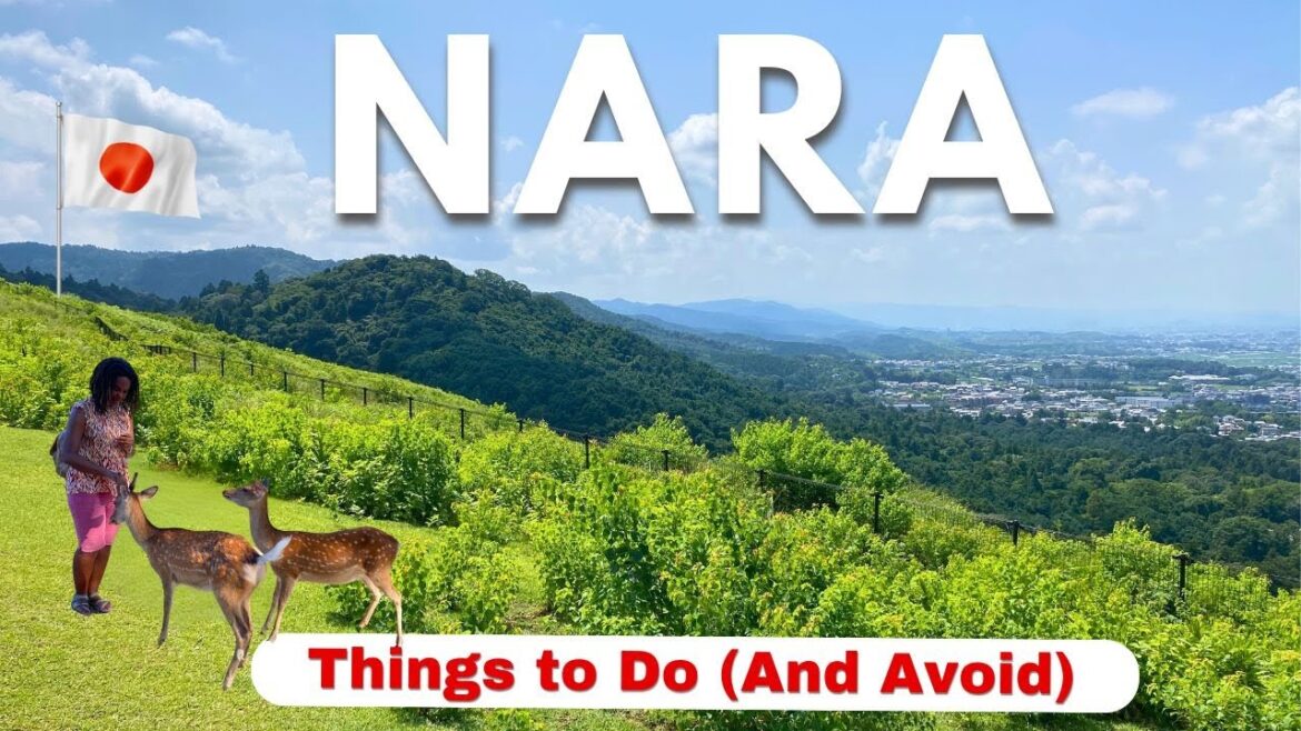 7 Unmissable Things to Do in NARA, JAPAN - The Perfect Nara Day Trip