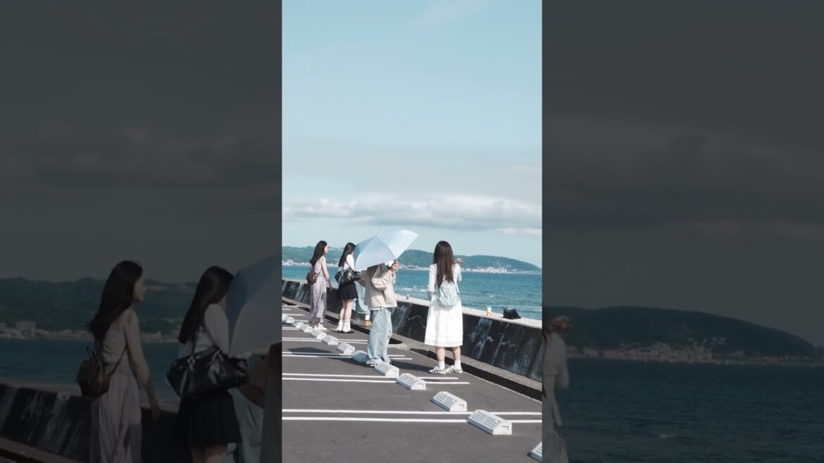 【4K】Enoshima, Kamakura, Japan #enoshima #kamakura #streetphotography #travel 【4K】Enoshima, Kamakura, Japan #enoshima #kamakura #streetphotography #travel