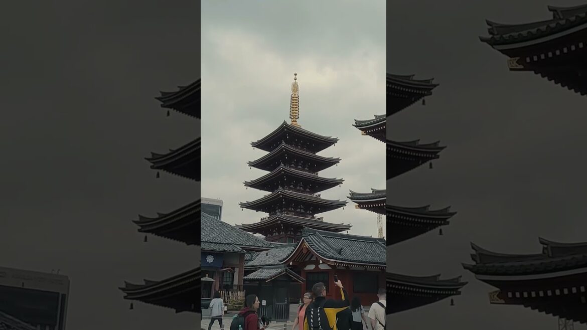 Japan trip. More videos on the channel