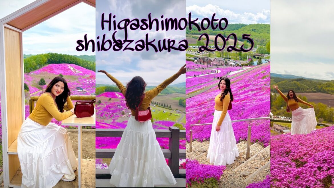 Spring Magic in Hokkaido | Shibazakura Fields of Higashimokoto || Japan travel Vlog with Simran