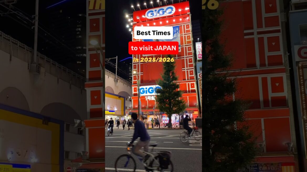 Planning a trip to Japan in 2025? Here’s when to go 🌸 #japan #shorts #japantravel