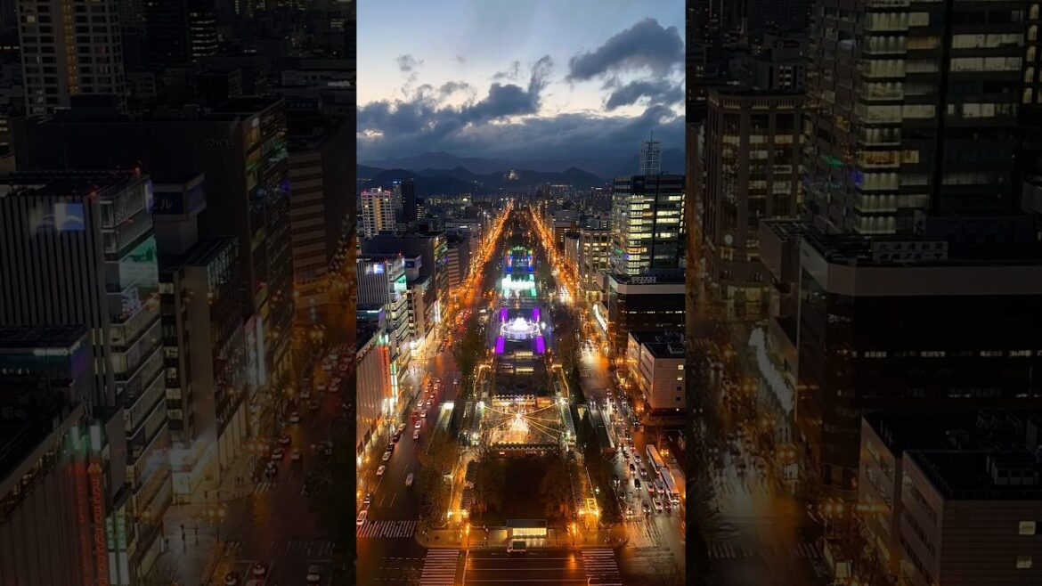 Sapporo Hokkaido TimeLapse 🗼 #japan #hokkaido