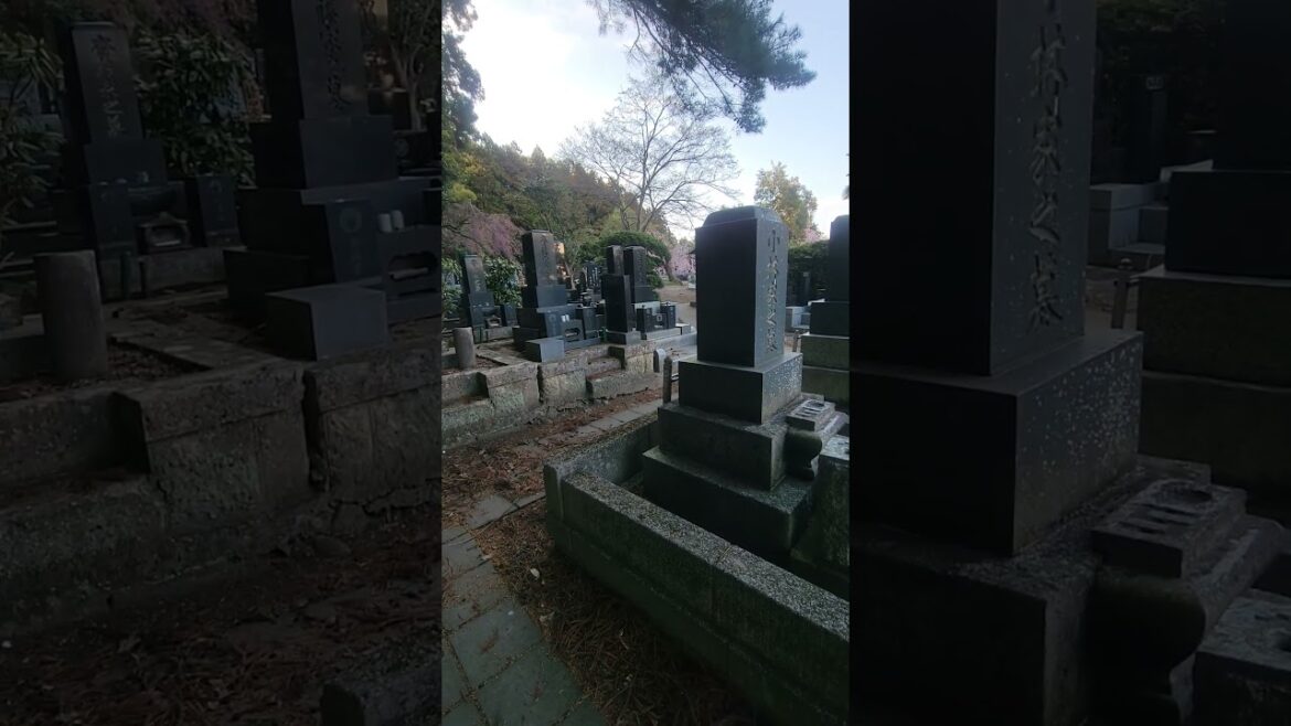 Japanese Cemetary in Sendai