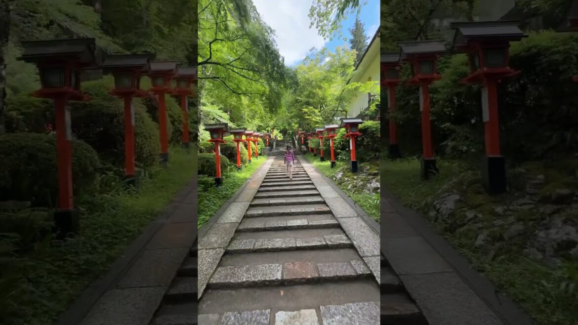 #japan #travel #kyoto #kuramaderatemple #adventure