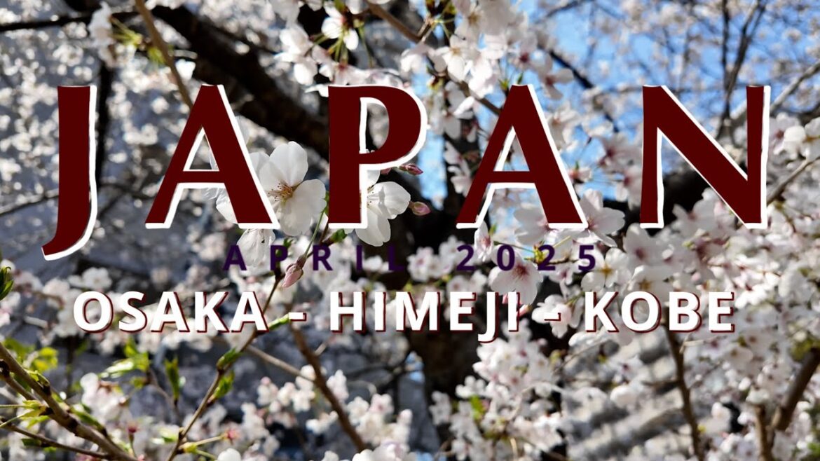 Japan April 2025 | Osaka | Himeji | Kobe | by CzemuNie?