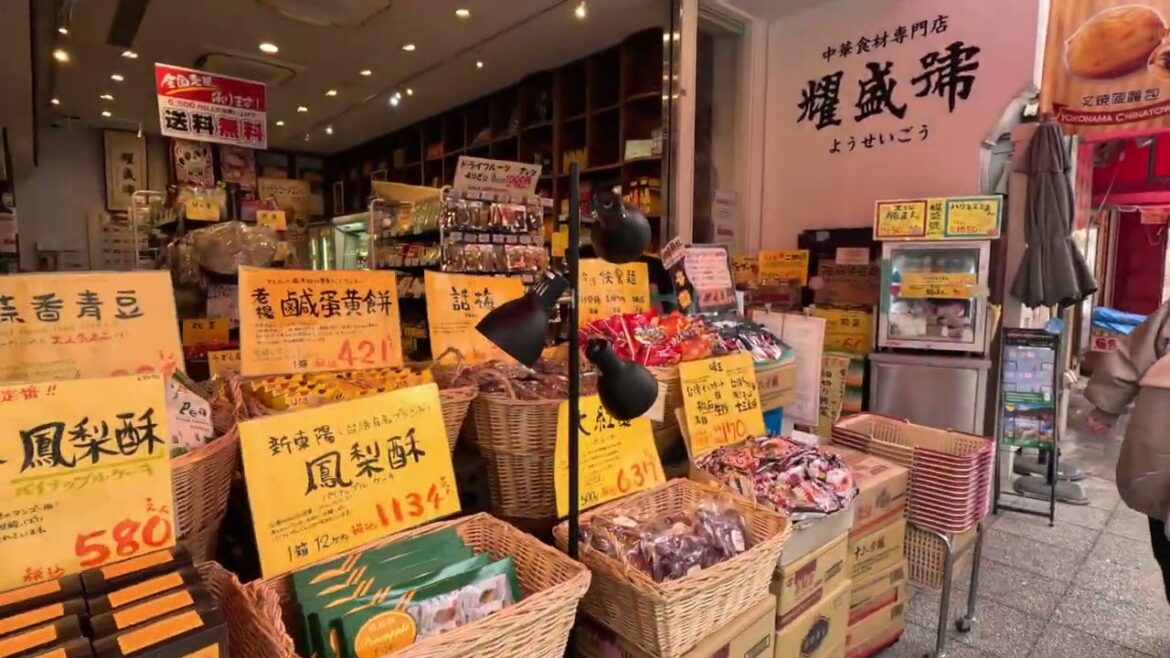 Japan Tour March 2024(Around Yokohama ChinaTown&Minatomirai)mp4 Japan Tour March 2024(Around Yokohama ChinaTown&Minatomirai)mp4