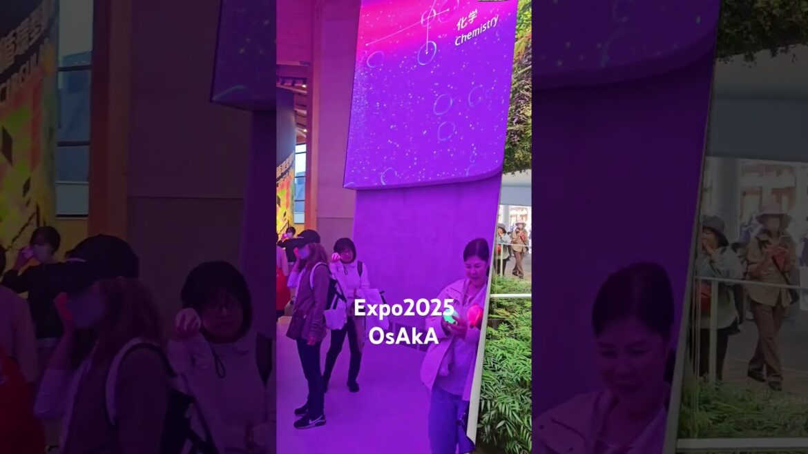 What Expo 2025 Osaka Looks Like – 35s Flash Tour #expo2025 #worldexpo2025 #osakaexpo