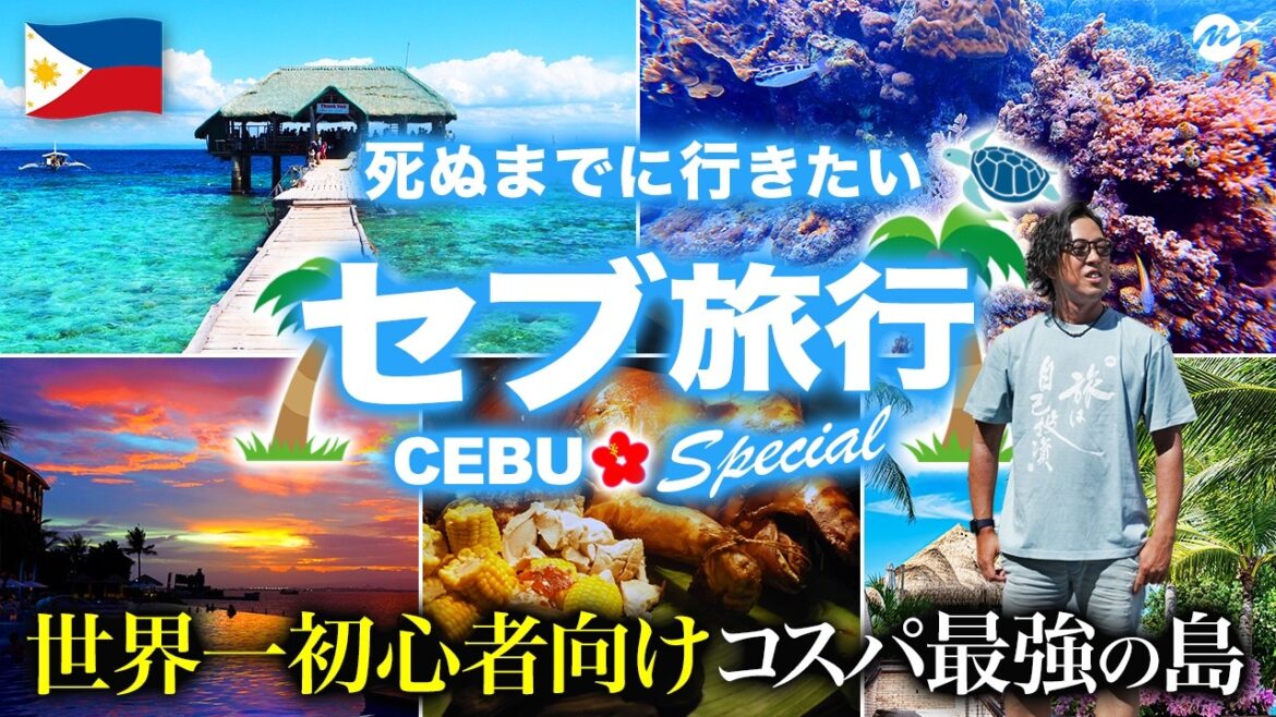 【教えたくない】セブ島のおすすめ人気グルメやローカル観光地が人生最高すぎた!【マクタン島・ビーチリゾート・vlog・ホテル・セブシティ・フィリピン旅行】Cebu island 【教えたくない】セブ島のおすすめ人気グルメやローカル観光地が人生最高すぎた!【マクタン島・ビーチリゾート・vlog・ホテル・セブシティ・フィリピン旅行】Cebu island
