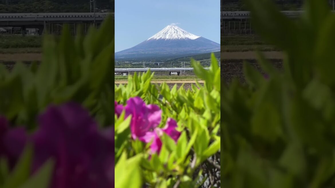 What a Wonderful Look of Fuji with Metro, Shizuoka Japan #fuji #metro