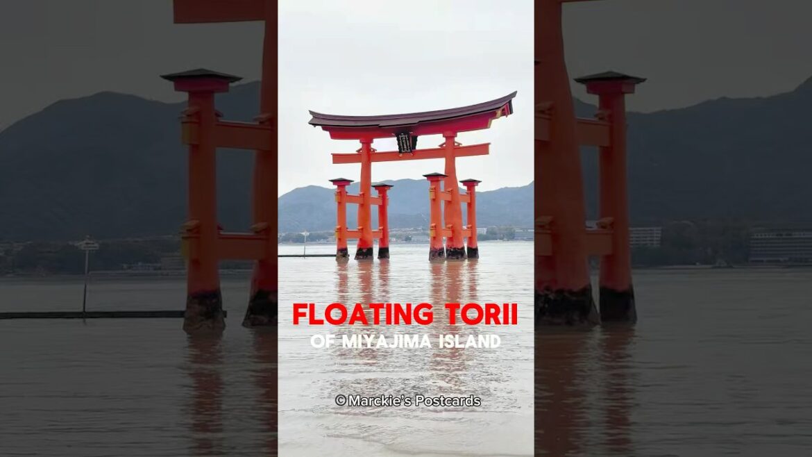 Visiting Japan's Iconic Floating Torii Gate 🌊⛩️🇯🇵 #japan #miyajima  #itsukushima #hiroshima