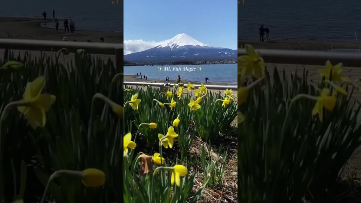 Magical Mount Fuji! ❤️ #japan #travel #fuji