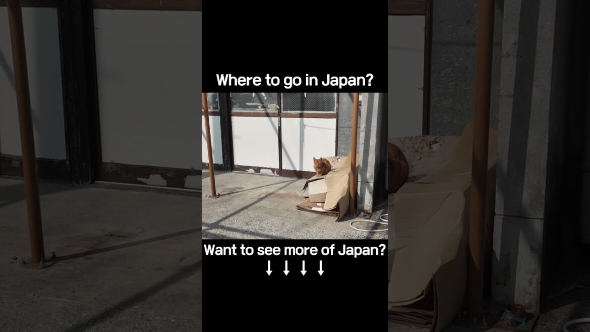 Beautiful Journey to Kaimon Station, Ibusuki｜指宿・開聞駅への美しい道のり｜前往指宿開聞站的風景之旅#IbusukiViews #KaimonStation