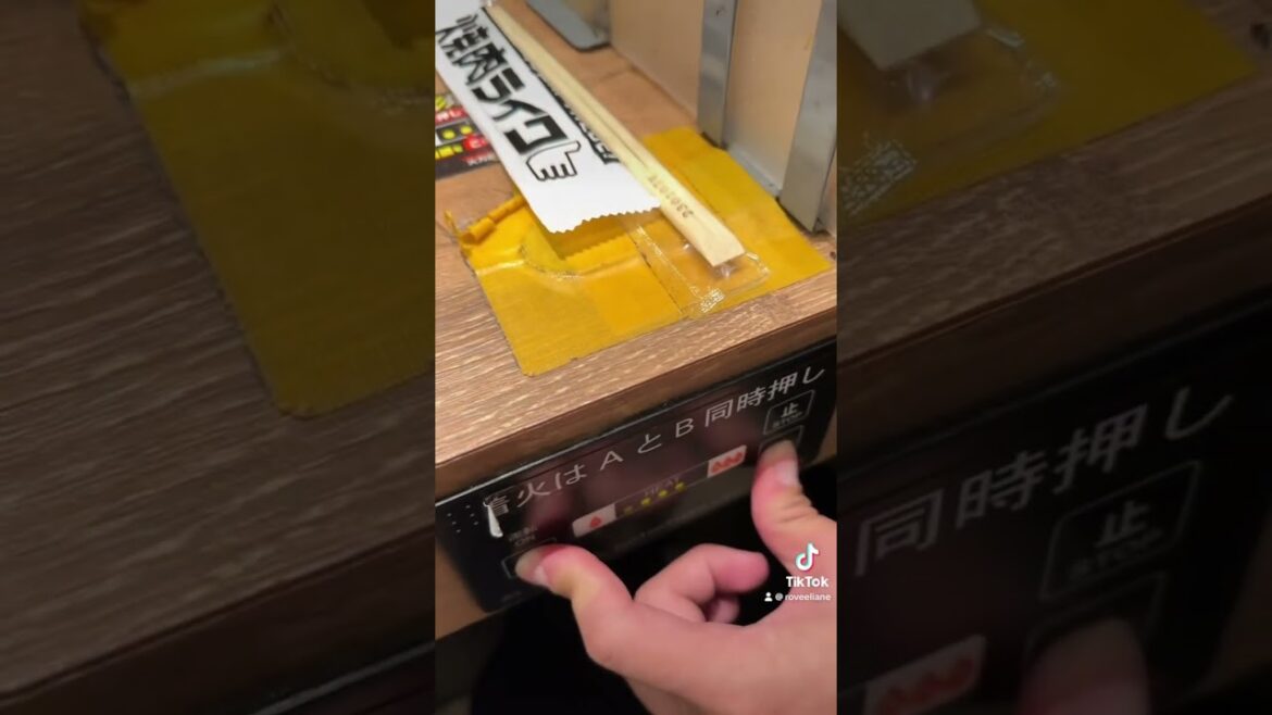 Okayama Castle #okayama #okayamacastle #castle #japan #hiroshima #travel #japanvlog #vacation #fyp