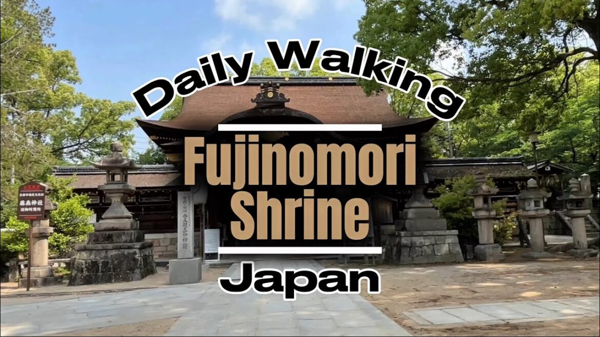 Daily walking: Fujinomori shrine #kyoto #travel #japan Daily walking: Fujinomori shrine #kyoto #travel #japan