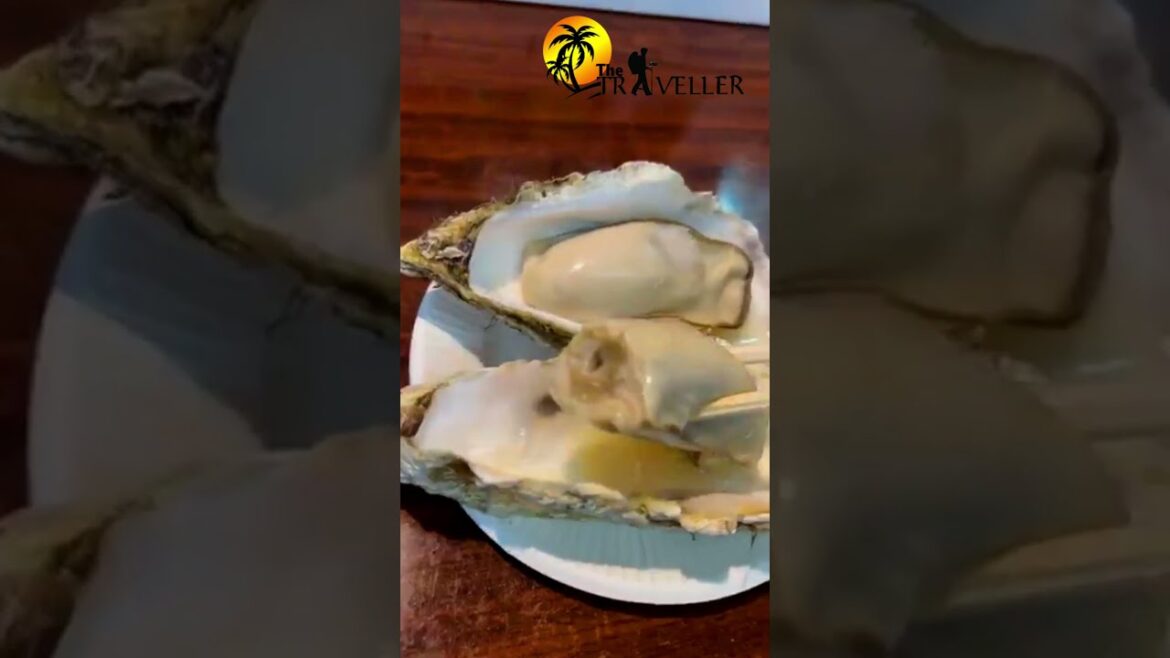 Japanese Street Food: Giant Raw Oysters on the Spot! 🦪 Japanese Street Food: Giant Raw Oysters on the Spot! 🦪