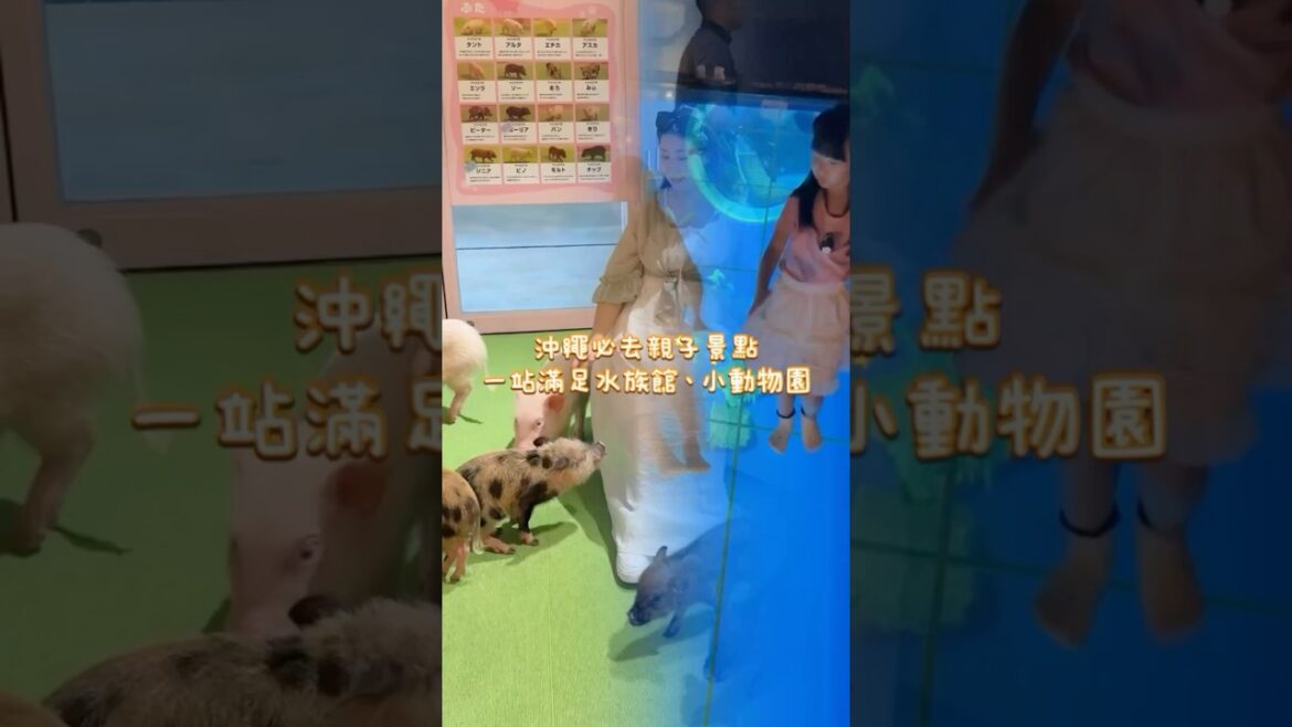 🌊 沖繩必去親子景點｜DMM Kariyushi水族館｜一站滿足水族館、小動物園～