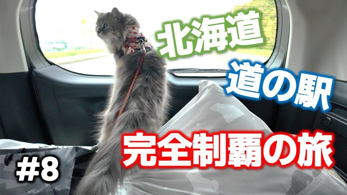 【北海道】道の駅スタンプラリーの旅!初夏満喫のグルメツアー✨ 【北海道】道の駅スタンプラリーの旅!初夏満喫のグルメツアー✨