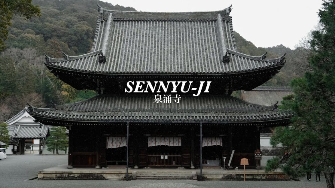 Sennyuji (泉涌寺) Temple Tour Experience - Kyoto, Japan