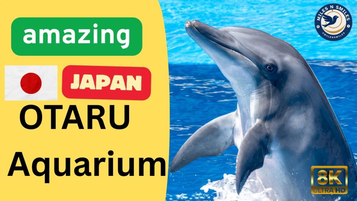 OTARU Aqaurium Hokkaido 🇯🇵 JAPAN
