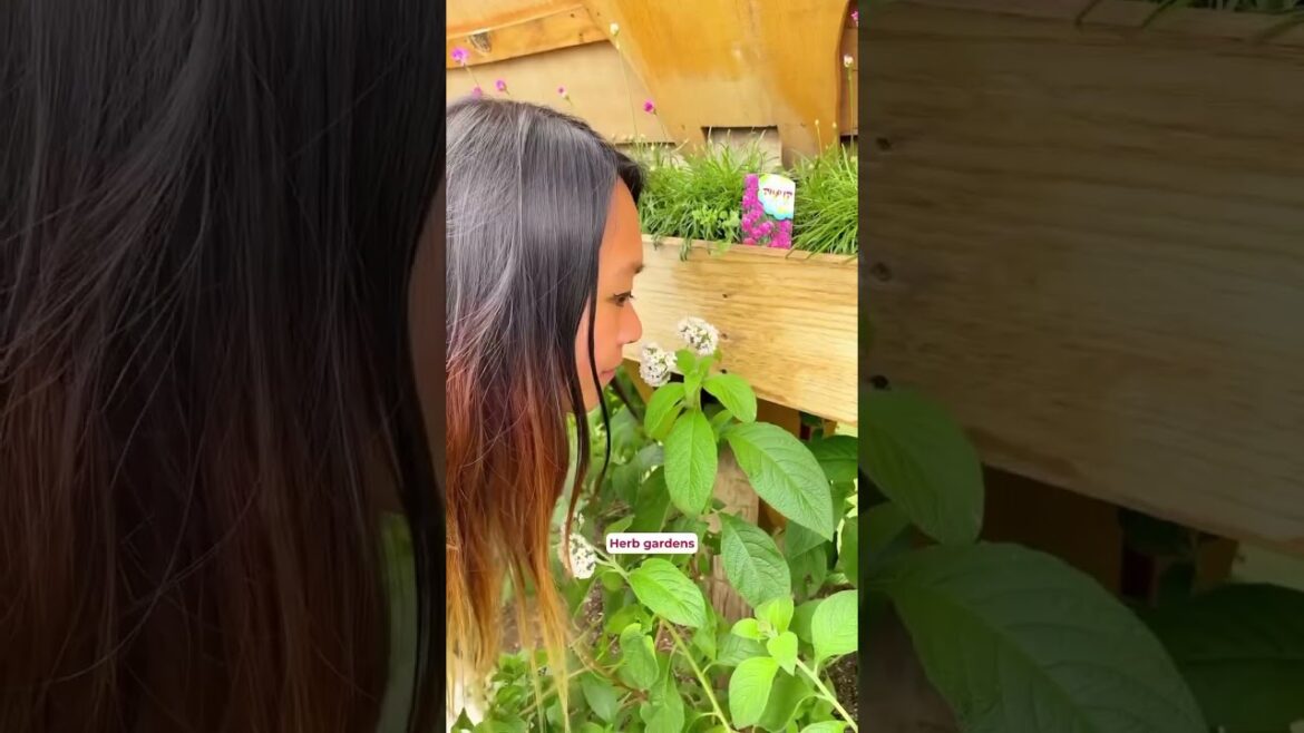 Think Kawaguchiko is just for Mount Fuji views? Think again! 🗻