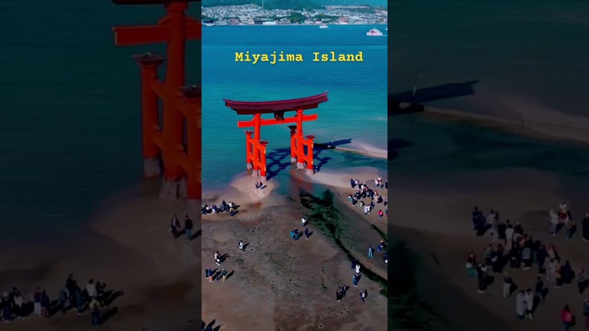 Miyajima Island Hiroshima Japan Miyajima Island Hiroshima Japan