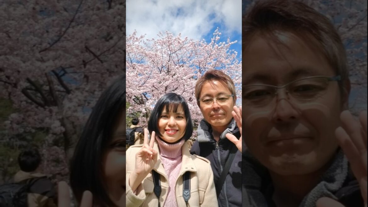 Sakura in Hokkaido #hokkaido #flowers #traveljapan #sakura #spring Sakura in Hokkaido #hokkaido #flowers #traveljapan #sakura #spring