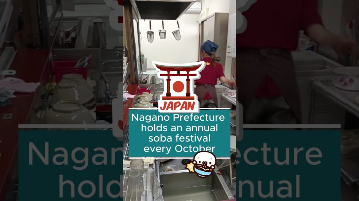 Must try Soba in Nagano after Alpine Route | Omachi Station Standing Soba | Japan food spot #shorts