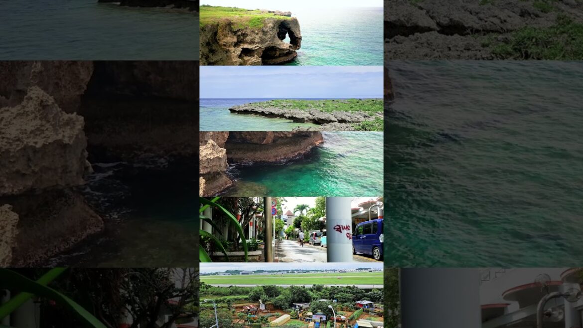 🔽 OKINAWA / 沖縄  #shorts #traveljapan